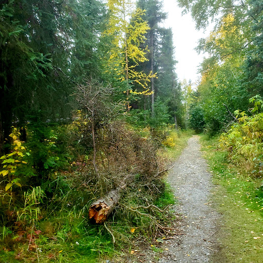 Forsythe Park 20250727 094732 005