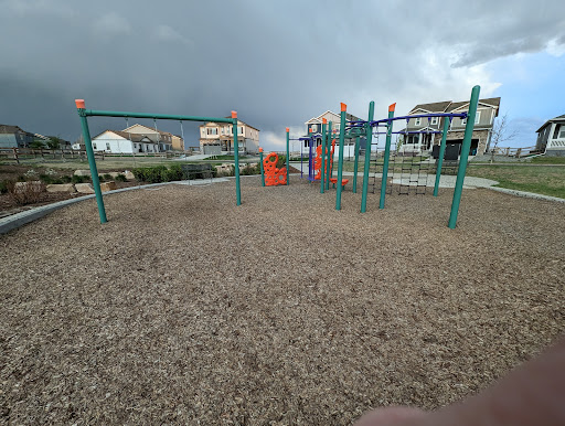 Fox Grove Playground 20250727 040324 002