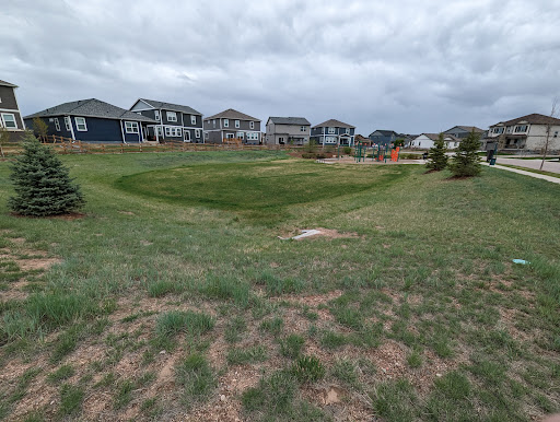 Fox Grove Playground 20250727 040329 008