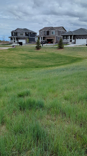 Fox Grove Playground 20250727 040330 010