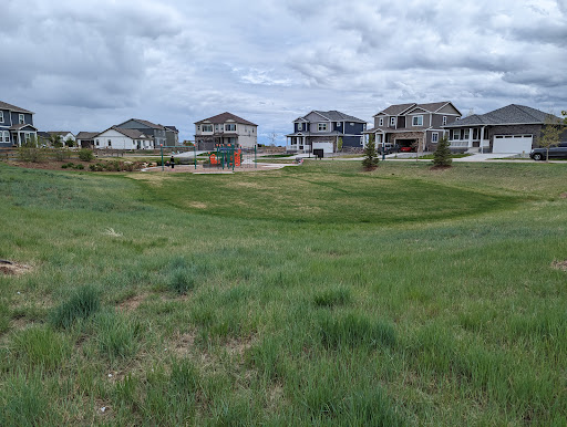 Fox Grove Playground 20250727 040331 011