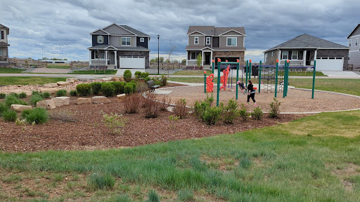 Fox Grove Playground 20250727 040332 012