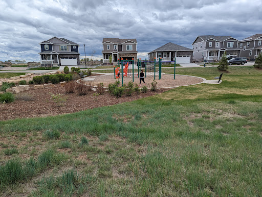 Fox Grove Playground 20250727 040332 013