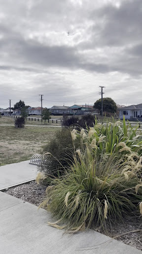 Foxton River Loop Reserve and Playground 20250818 170033 001