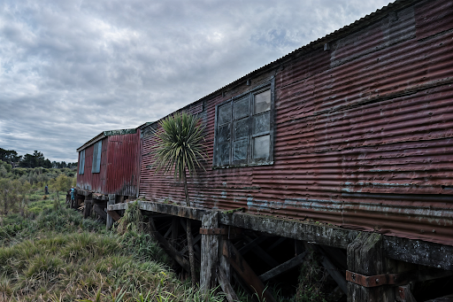 Foxton River Loop Reserve and Playground 20250818 170034 002