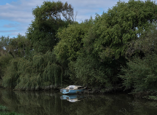 Foxton River Loop Reserve and Playground 20250818 170037 005