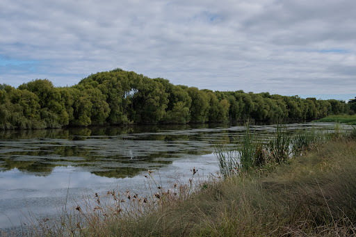 Foxton River Loop Reserve and Playground 20250818 170039 007
