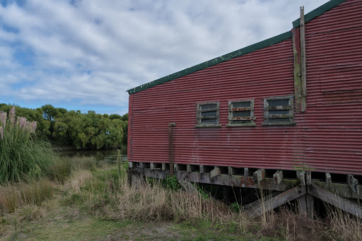 Foxton River Loop Reserve and Playground 20250818 170041 010