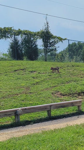 Frank Cornell Park City of Mt Washington 20250727 001726 001