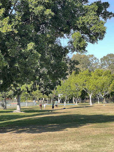 Frascott Park Safari Playground 20250824 012940 007