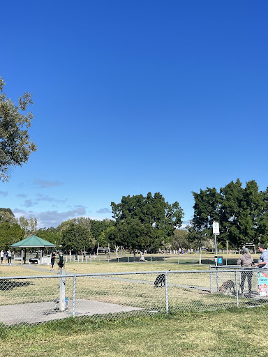Frascott Park Safari Playground 20250824 012945 013