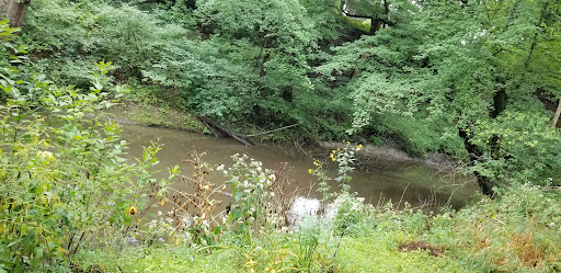 Friendship Botanic Gardens 20250727 045803 008