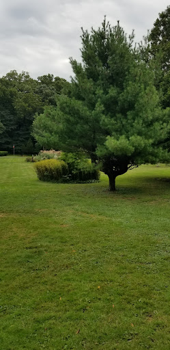 Friendship Botanic Gardens 20250727 045806 012