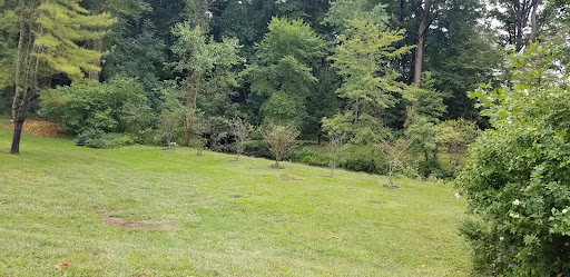 Friendship Botanic Gardens 20250727 045808 015