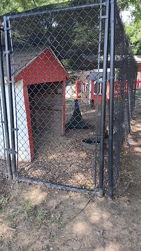 Fritz Park Shelter 20250727 125509 001