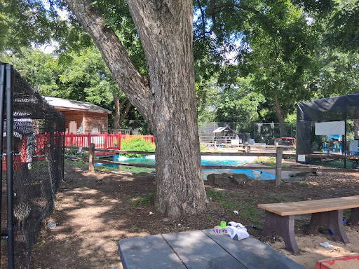 Fritz Park Shelter 20250727 125510 002