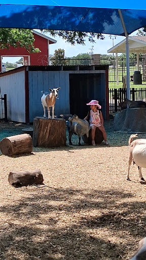 Fritz Park Shelter 20250727 125512 004