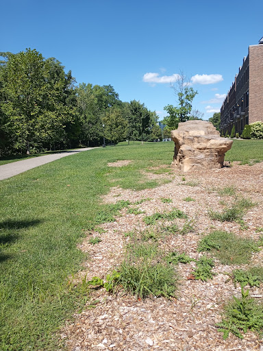 Funk ee Town Playground in Harrison Park 20250727 023151 004