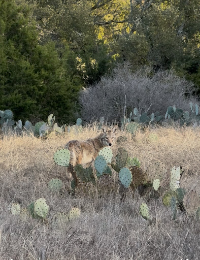 Garey Park 20250726 181540 016