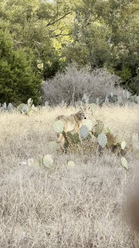 Garey Park 20250726 181540 017