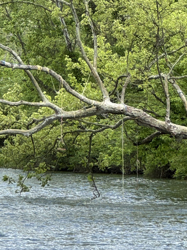 Geist Park 20250727 022350 005