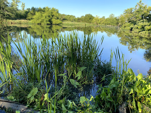 Geist Park 20250727 022401 018