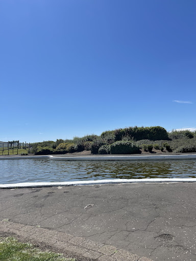Girvan Boating Pond 20250808 153211 001