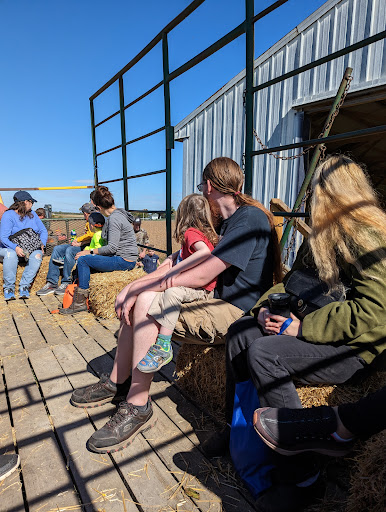 Glade Valley Corn Maze 20250727 023655 001