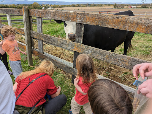 Glade Valley Corn Maze 20250727 023657 004