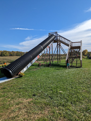 Glade Valley Corn Maze 20250727 023658 005