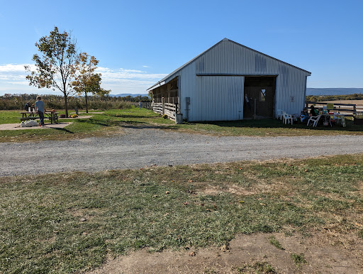 Glade Valley Corn Maze 20250727 023659 007