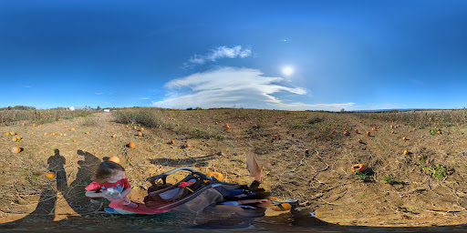 Glade Valley Corn Maze 20250727 023700 008