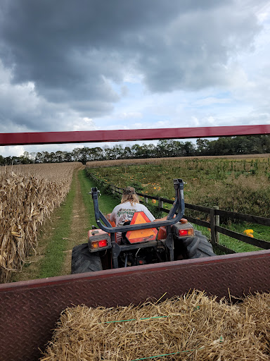 Glade Valley Corn Maze 20250727 023703 012