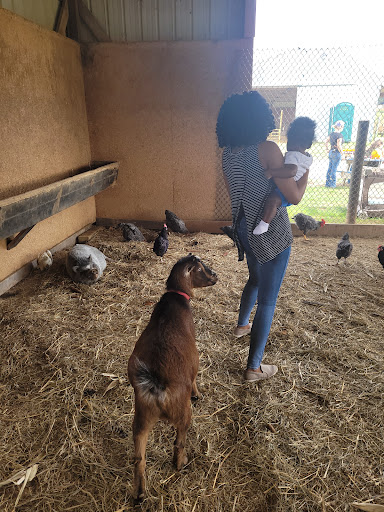 Glade Valley Corn Maze 20250727 023706 016