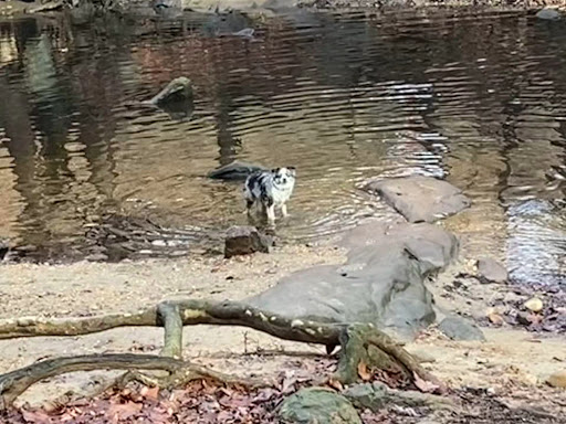 Glencarlyn Park Playground 20250727 121240 001