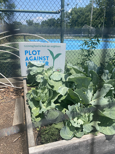 Glencarlyn Park Playground 20250727 121253 014