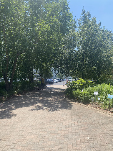 Glencarlyn Park Playground 20250727 121254 015