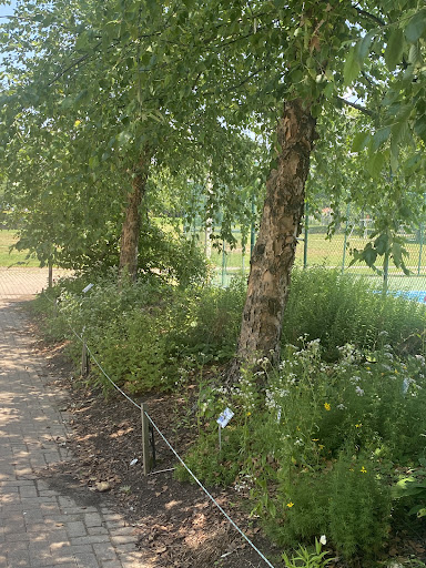 Glencarlyn Park Playground 20250727 121257 018