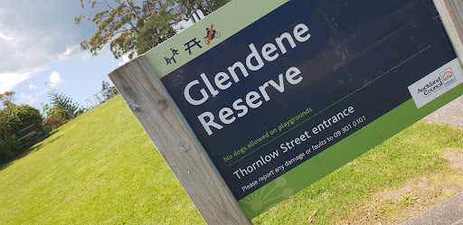 Glendene Reserve Park 20250818 162845 002