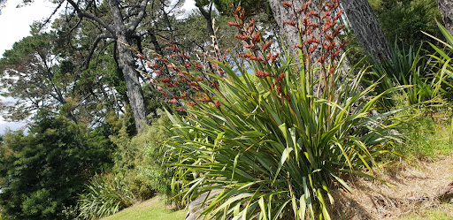 Glendene Reserve Park 20250818 162900 018