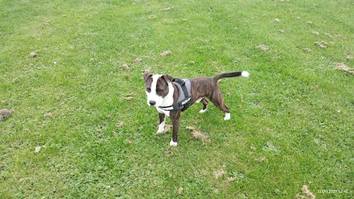 Gloucester Park Play Area 20250808 183442 004