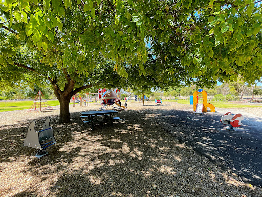 Glover North Playspace 20250824 014510 013