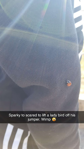 Goldenhill Park Upper Play Area 20250808 151347 009