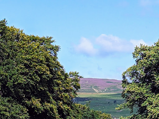 Goldenhill Park Upper Play Area 20250808 151348 011