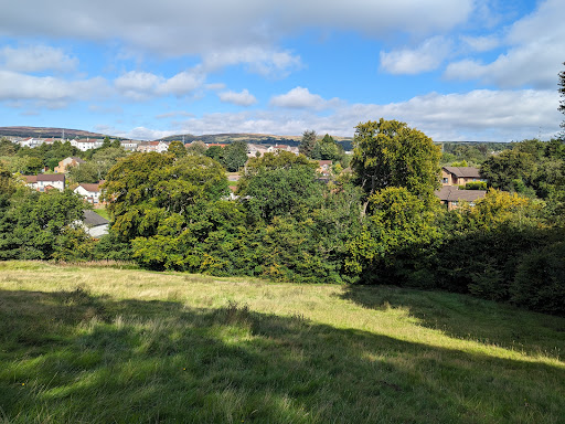 Goldenhill Park Upper Play Area 20250808 151350 013