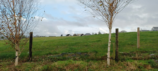 Grenagh PlayGround 20250819 230631 012