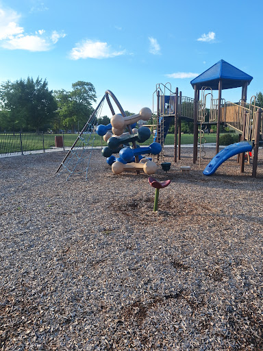 Grove Park Playground 20250727 071137 003