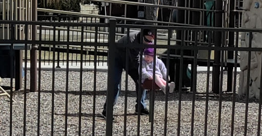 Grove Park Playground 20250727 071143 010