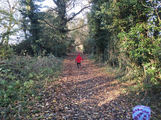 Grovehill and Woodhall Farm Adventure Playground 20250808 184902 006