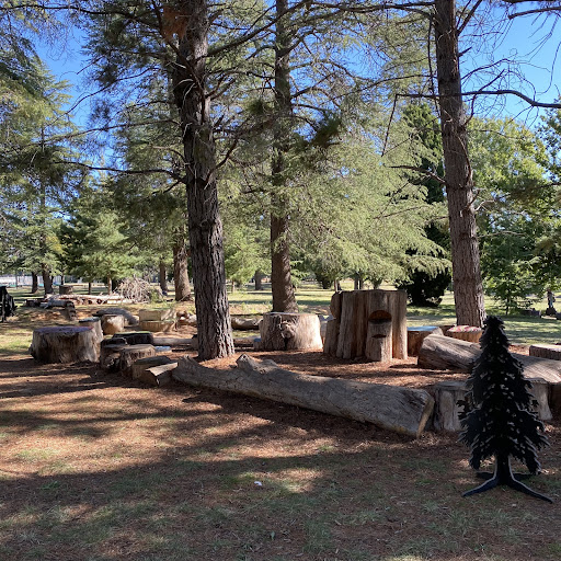 Haig Park Nature Playground 20250824 002239 002